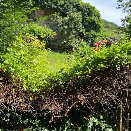 La - & Sauna Avec Parking Kaysersberg-Vignoble