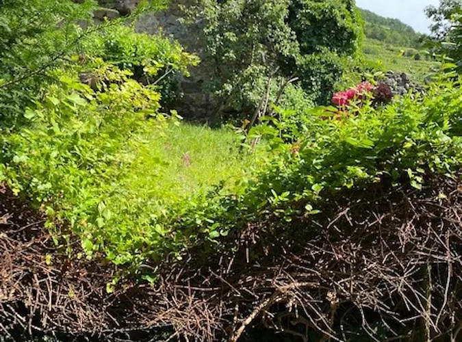 La - & Sauna Avec Parking Kaysersberg-Vignoble