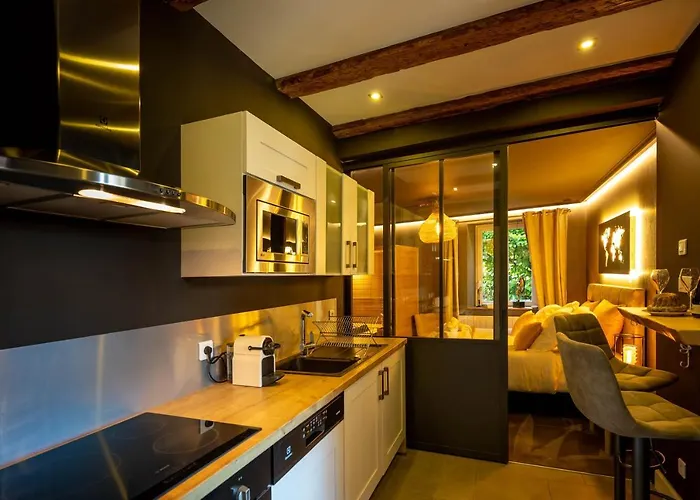 La - & Sauna Avec Parking * Kaysersberg-Vignoble